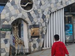 -昆明动物园