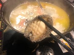-鲜入围煮花胶鸡海鲜火锅