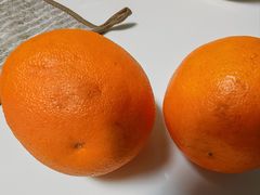 -甘食记·成都肥肠粉(汕头万象城店)