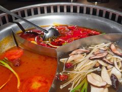 -辣伍鲜毛肚老火锅(元一店)