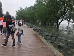 -宝安西湾红树林湿地公园