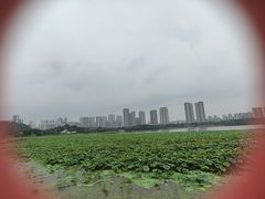 -月湖风景区