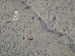 -北海金海湾红树林生态旅游区