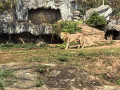 -海南热带野生动植物园
