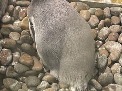 -大连圣亚海洋世界