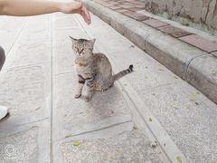-荔湾博物馆