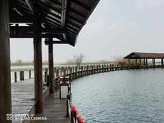 -太湖湖滨国家湿地公园-停车场