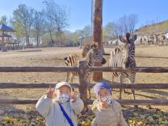 -大连森林动物园