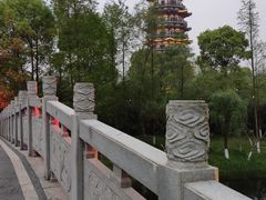 -洋湖国家湿地公园
