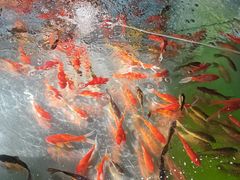 -水上乐园·欢乐世界