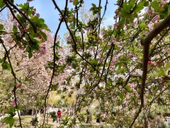 -元大都城垣遗址公园