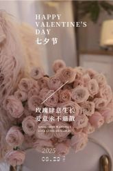 -薇薇安花系SPA