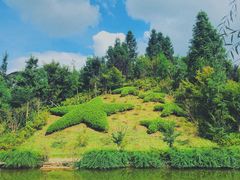 -全国青少年井冈山革命传统教育基地