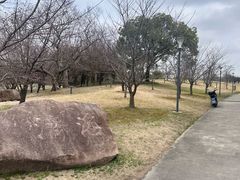 -同济大学(嘉定校区)