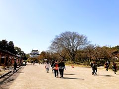 -名古屋城