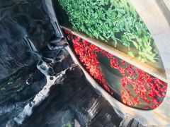 -郑州银基黄帝宫御温泉