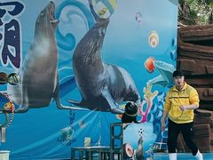 -荆州中山公园动物园