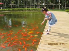 -月亮河温泉度假酒店