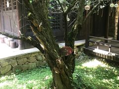 -黄公望隐居地