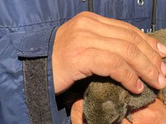 -西湖外事游船(湖滨二公园外事游船码头)