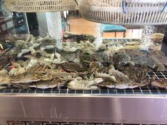 -喜来酌海鲜·饺子(和平一店)