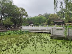 -莲湖公园