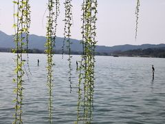 -湧金楼(西湖天地店)