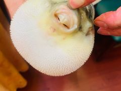 -长顺河豚馆(江洲东路)