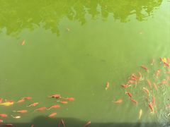 -莆田南少林寺