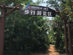 -海南热带野生动植物园