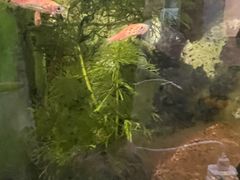 -箱美术馆私房菜(水晶郦城店)