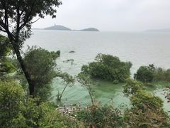 -上海市保健医疗中心