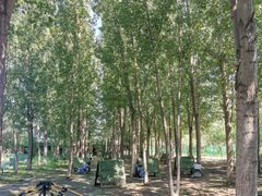 -亲兄弟真人CS团建拓展基地