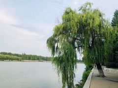 -襄阳城墙