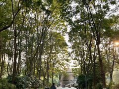 -苏州河梦清园环保主题公园