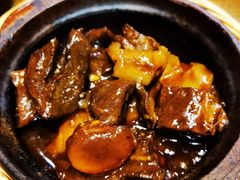 牛腩牛筋萝卜煲-熠盛粤味·顺德桑拿鸡(永康路店)
