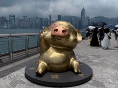 -星光大道