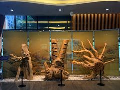 -香市公园-中国沉香文化博物馆