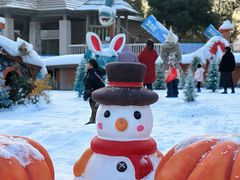 -南京银杏湖乐园