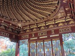 -汇龙潭