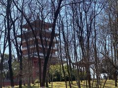 -思念果岭悦温泉