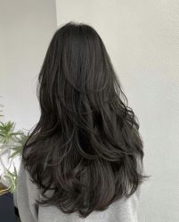 -依格宝IL COLPO明星店