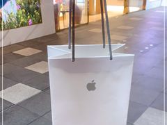 -Apple零售店(成都太古里店)