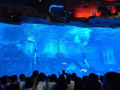 -刘小忙把子肉(北园大街总店)