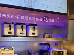 -TD66高山铁皮石斛养生茶饮