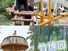 -阿露佳·舌尖上的安吉菜