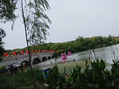 -昆山城市生态森林公园