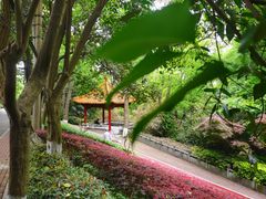 -北极阁公园