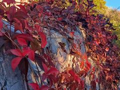 -北京西山国家森林公园