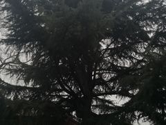-茂陵博物馆